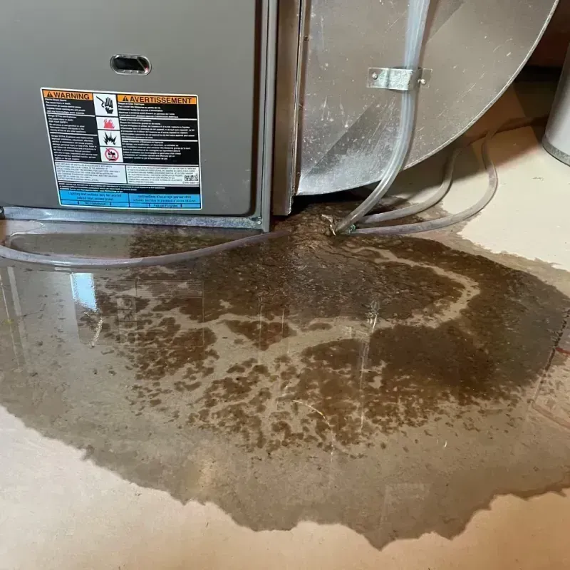 Appliance Leak Cleanup in Holly Hills, CO